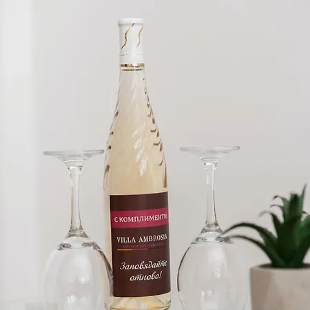호텔 Boutique Wellness Ambrosia 체르노모레츠